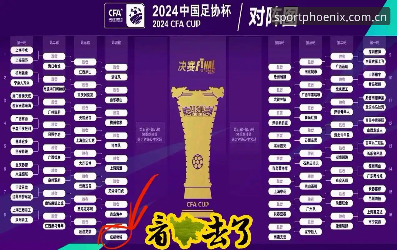 终身禁足vs五年禁赛：中国足协第三批禁足名单对比分析，凤凰体育全景解读